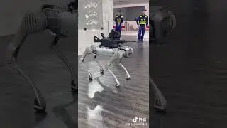 Robot Wolf made in China