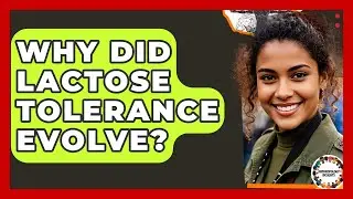Why Did Lactose Tolerance Evolve? - Anthropology Insights