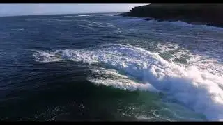 Sapphire Flight - Gear&Grind-Cafe Music Production