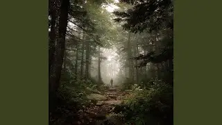 The Place I Call Home
