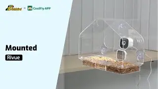 Assembly - RichBird Rivue Tutorial