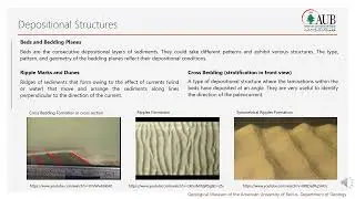 Sedimentary Depositional Structures