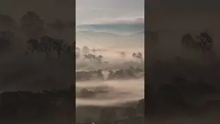 The Fields of Spring Begin to Breathe