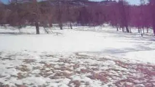 DSCN2649