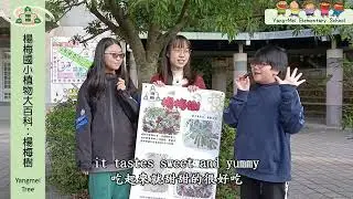 114楊梅國小生態品牌推廣大使(英語版)-2