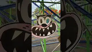 Wildcat rollercoaster  #rollercoaster #georgia #northgeorgia #northgeorgiastatefair #fun