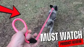 No Collar, No Hassle  Adjustable Dog Slip Leads for Easy Walking & Training LINK IN DESCRIPTION