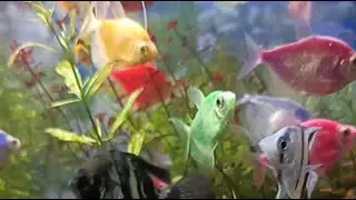 The ECQ BLOOMS garden is live!