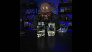 WOW Wednesday: The Dancing Raisins Experiment | Fun Weird Science #funweirdscience #stem