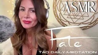 ASMR ☯️Tao Daily Meditation: DAY 77 ✨ FATE ✨