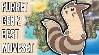 Furret Gen 2 Best Moveset - Furret Best Moveset Moves Pokemon Gold Silver Crystal