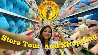 MR. DIY store in Jaipur 😱| all in one store | staring at Rs. 30 😱| store tour | #mrdiy #diy #vlog