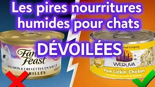 7 CAT FOOD BRANDS YOU SHOULD AVOID AT ALL COSTS! (AND 2 SAFE ONES)