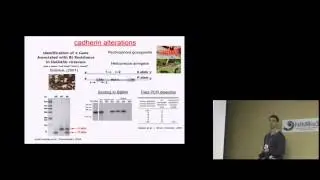 Mechanisms of resistance to Bt toxins