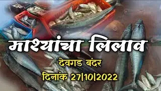 माश्यांचा लिलाव - देवगड बंदर वरील माश्यांचा लिलाव | Fish Auction from Devgad.