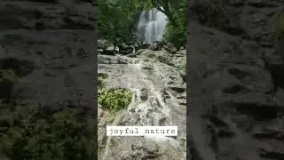 &ldquo;It&rsquo;s all water over the falls.&rdquo; #shorts #nature #trending #shortvideo #viralvideo #forest #shots