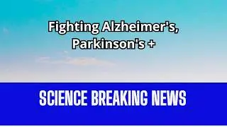 Study finds draining brain trash might prevent or reverse Alzheimer&rsquo;s and Parkinson&rsquo;s disease