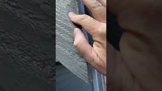 Bateau Bay - Timber Rot