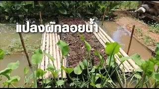 #รู้เรื่องเมืองตราด แปลงผักลอยน้ำ เรือนจำชั่วคราวเขาระกำจังหวัดตราด