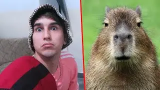 TENGAN CUIDADO CON ESTE VIDEO 🌵🌶🇦🇷