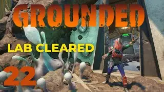 Haze Burgl Chip Recovered Using Secret Entrance - Grounded Into The Wood - 22