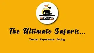 The Ultimate Safaris