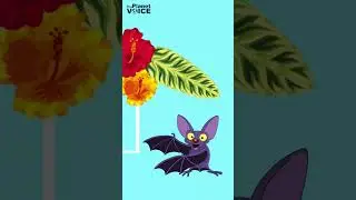 Why Bats are More Important than You Think