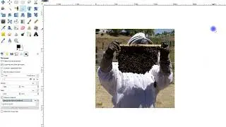 d&eacute;tourage avec l'outil chemin de l'apiculteur pour avoir en transparence l'arri&egrave;re plan avec GIMP
