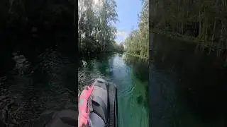 Must adapt to Gators #swimming #floridastyle #springs #nature #waverunner #gatorcountry