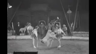 Skipping Dogs In Chipperfield's Circus