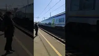 Passenger Express Arriving Pisa Rossore Junction