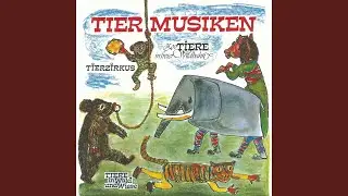 Elefant (Seht, ich bin ein Elefant)