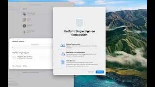 Apple Platform SSO, explained and code