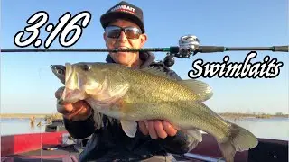 Swimbait Fishing (3:16 Rising Son & Mission Fish)