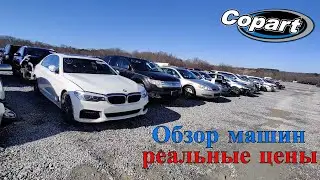 Copart Walk Around 2.8.2022  Аукцион Копарт США. Обзор машин + Цены. Америка.