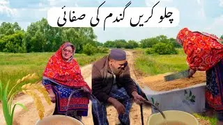 Aj mne or miyan je ny kri Wheat Clean 🌾👍 | Vlog By @My-Lifestyle-786 