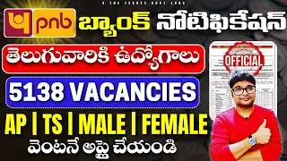 PNB Bank భారీ రిక్రూట్మెంట్ | 5138 Bank ఉద్యోగాలు | PNB Bank Jobs|Bank jobs | V the Techee Govt Jobs