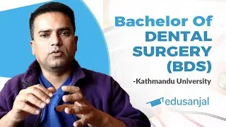 Bachelor of Dental Surgery (BDS) - Kathmandu University | Syllabus, Scope, Eligibility, Cost