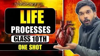 Life Processes Class 10 🌿 One Shot Full Chapter | CBSE NCERT Board Exam | Rohit Sharma