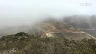 Breaking through the fog, hawks soar.