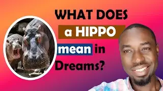 Meaning of Hippopotamus in Dreams - General and Spiritual