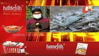 Cold Wave Makes Comeback In Odisha, Normal Life Hit