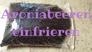 Aroniabeeren einfrieren gefrorene Aroniabeeren lassen sich gut verarbeiten