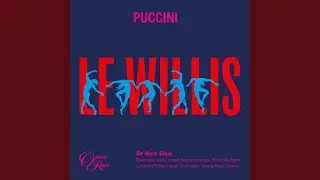 Le Willis: 