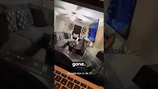 Dog eats man’s food