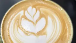 &ldquo;Wing Tulip Latte Art in One Smooth Pour ☕🔥&rdquo;