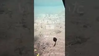 ソロライダー　八王子から箱根　伊豆高原へツーリング　ジオパーク庭園