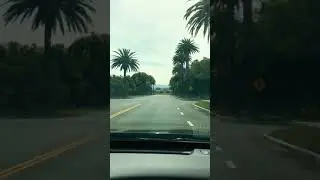Stanford University Palm Dr and Loop drive thru
