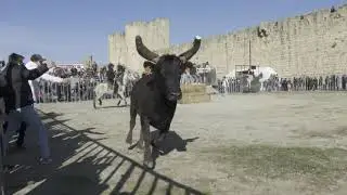 Fête d'hiver Aigues-Mortes 2025
