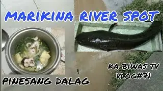 E.P#2 MARIKINA RIVER SPOT W/CATCH & COOK PINESANG DALAG #KABIWASTV#vlog71
